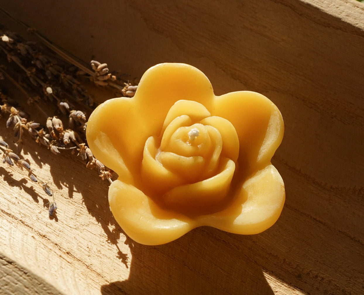 Open Flower