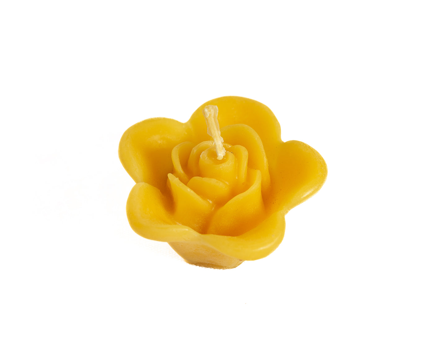 Open Flower